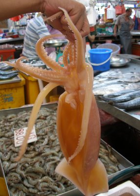 Squid, Geylang market