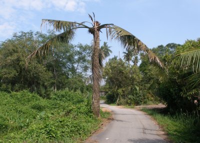 Road, Kampung Pulau Duyong