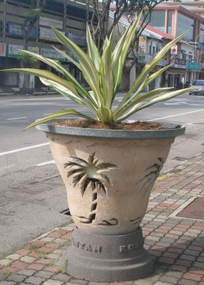 Street planter, Kuantan