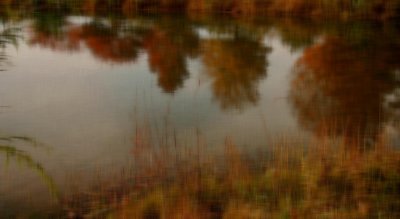 Reflections of autumn.
