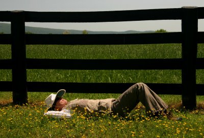 Meadow nap.