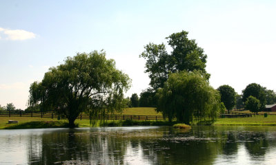 The pond at Long Branch.