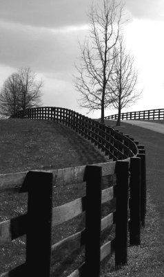 The fence at Long Branch.