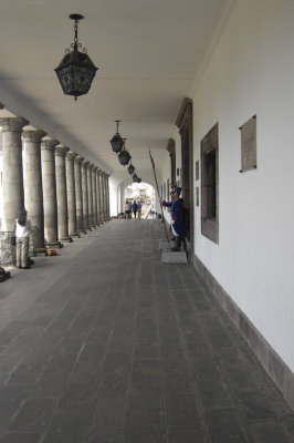 _PJK0812.jpg
