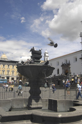 _PJK0884.jpg