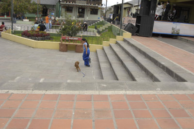 _PJK0972.jpg