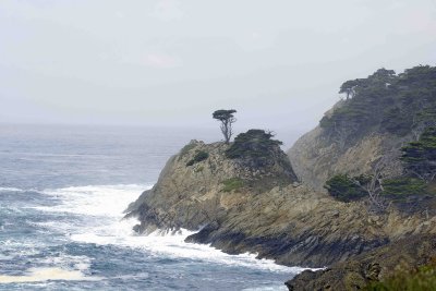 Gallery of Big Sur and Piedras Blancas Landscapes & Scenics