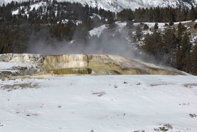 Minerva Spring-021907-Mammoth Hot Springs, Yellowstone Natl Park-0612.jpg