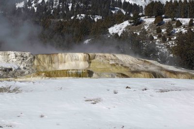 Minerva Spring-021907-Mammoth Hot Springs, Yellowstone Natl Park-0616.jpg