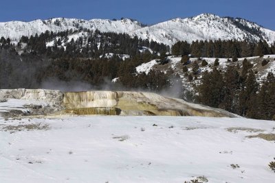 Minerva Spring-021907-Mammoth Hot Springs, Yellowstone Natl Park-0627.jpg