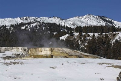Minerva Spring-021907-Mammoth Hot Springs, Yellowstone Natl Park-0634.jpg