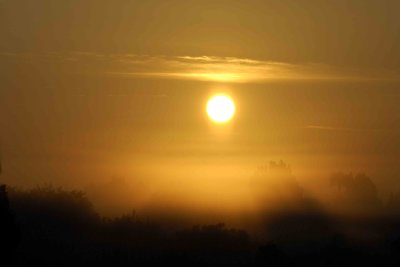 Sunrise thru Fog-031307-Black Point Wildlife Drive, Merritt Island NWR-0101.jpg