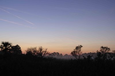Sunrise with Fog-031307-Black Point Wildlife Drive, Merritt Island NWR-0001.jpg