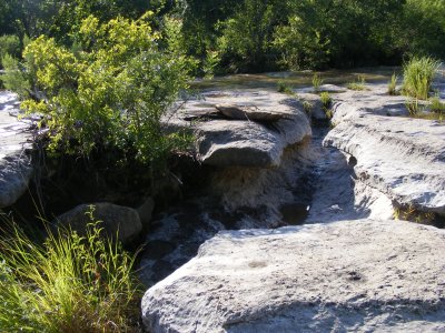 bull_creek