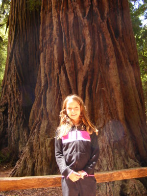 muir_woods
