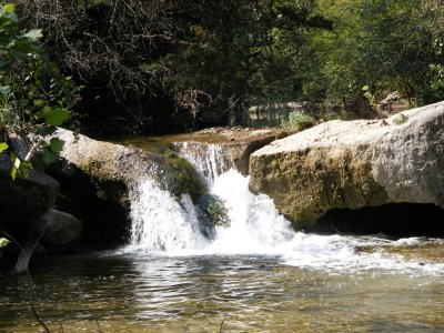DSCF0495.JPG