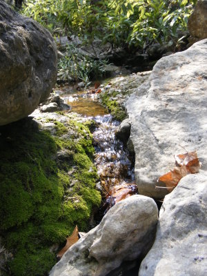 DSCF0496.JPG