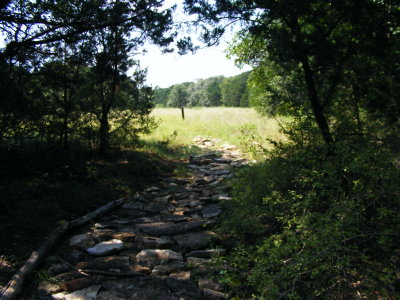 DSCF0501.JPG
