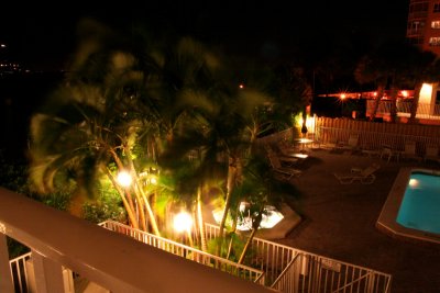 IMG_8744 palmiers dans la nuit.jpg