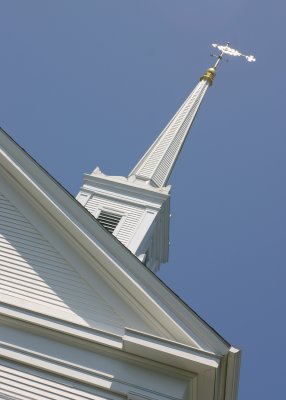 IMG_1001.jpg