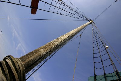IMG_1292.jpg