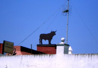 Toro VII. Citizen bull