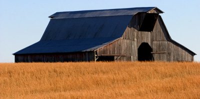 Barn-3-7731.jpg
