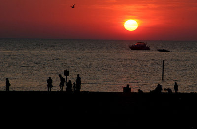 IMG_8879 copy.jpg