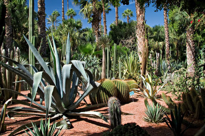 Majorelle Garden