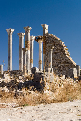 Volubilis