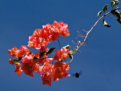 IMG_9869.jpg