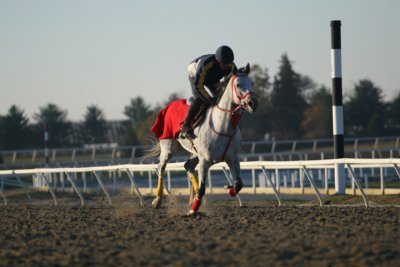 IMG_1793.JPG