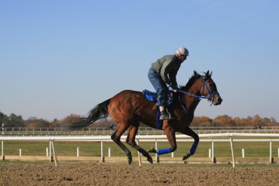 Fairhill Horse Training Center