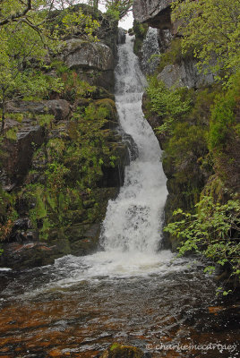 Waterfall DSC_2462