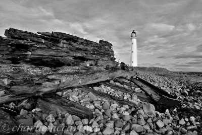 Barns Ness Lighthouse_DSC_4263.jpg