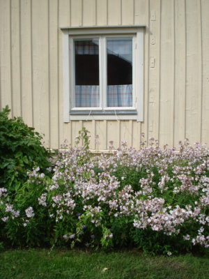 DSC04788.JPG
