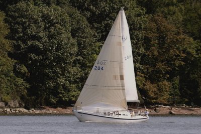 _DSC3880.jpg
