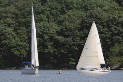 _DSC3884.jpg