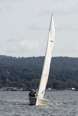 _DSC3978.jpg