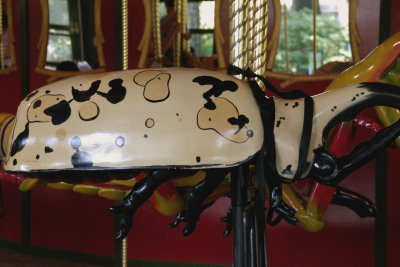 Butterfly Exhibit