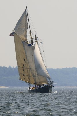 Unidentified Tallship