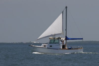 Interesting Craft on Way to Westbrook