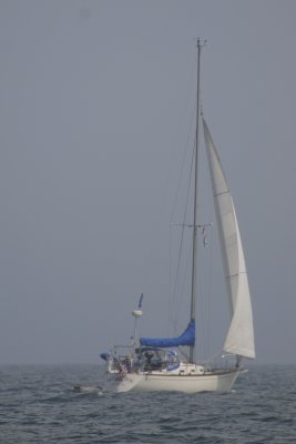 g6/40/708140/3/83915110.MfNysyzw.jpg