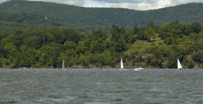 Lasers Racing in Stony Point Bay (8821)
