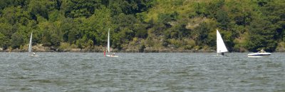 Laser Race Sunday (8824)