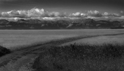 montana  dirt road.jpg