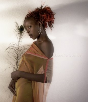      la plume .