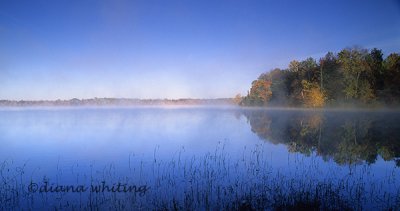 Beaver Lake Morning