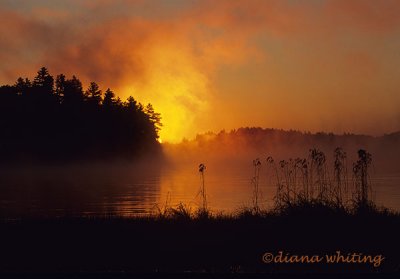 Adirondack Morning Arbutis Lake