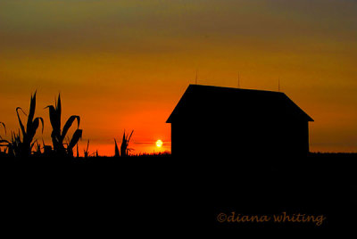 Sunset On the Farm